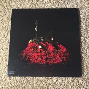 Conan gray superache vinyl